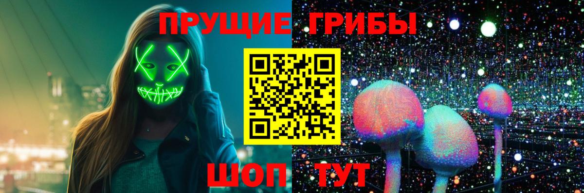 Арзамас  Галлюциногенные грибы прущие грибы  Вход с VPN 